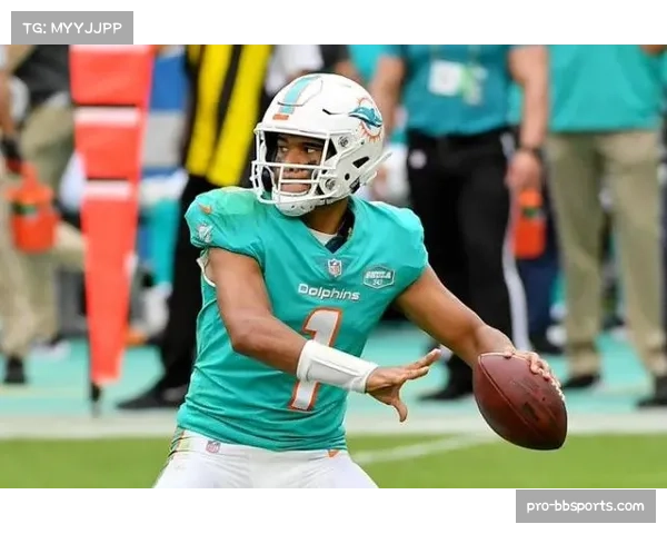 海豚进攻组节奏快速传球推进码数领先联盟 海豚进攻组节奏快速传球推进码数领先联盟